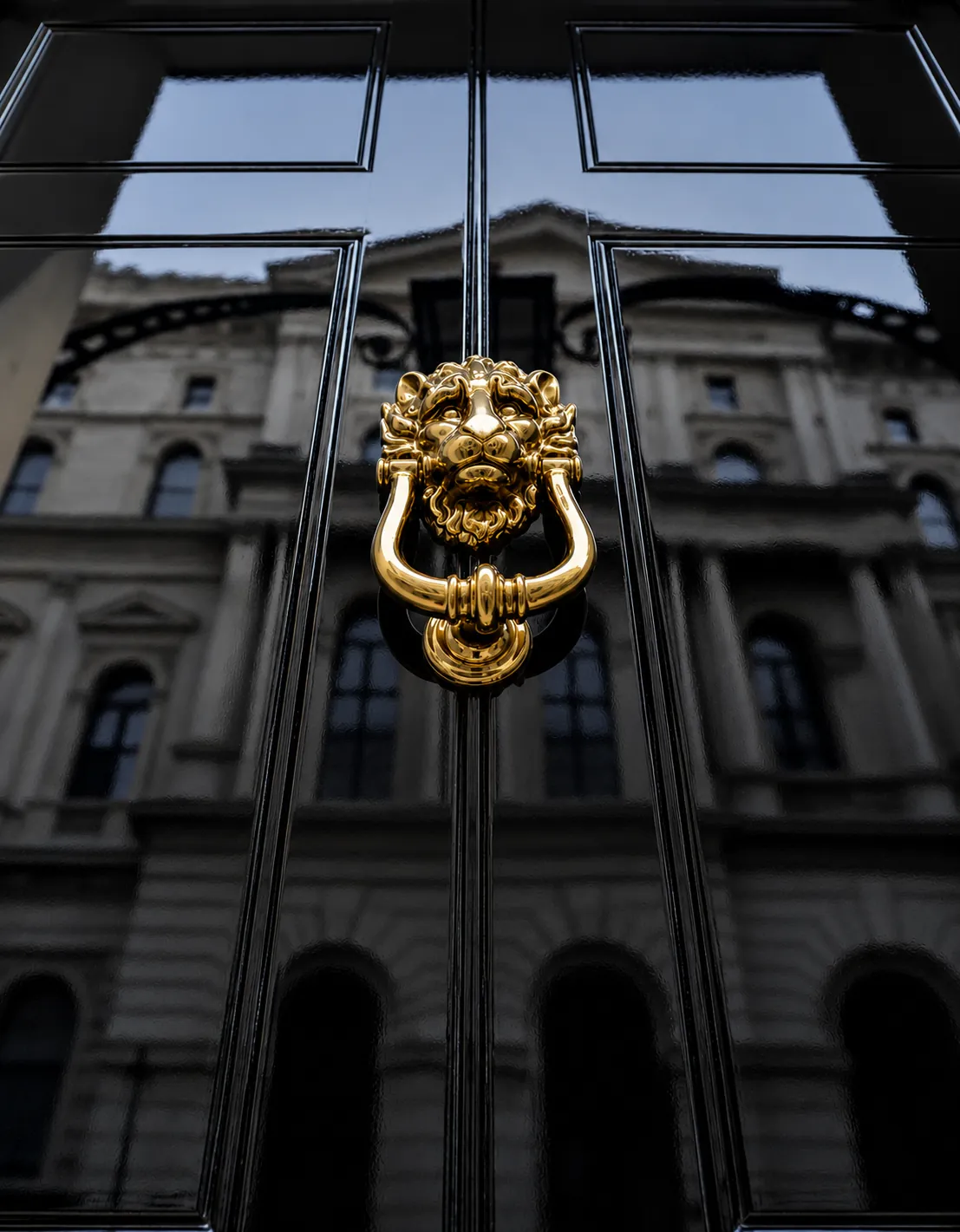 Brass lion-head knocker on a black gloss door
