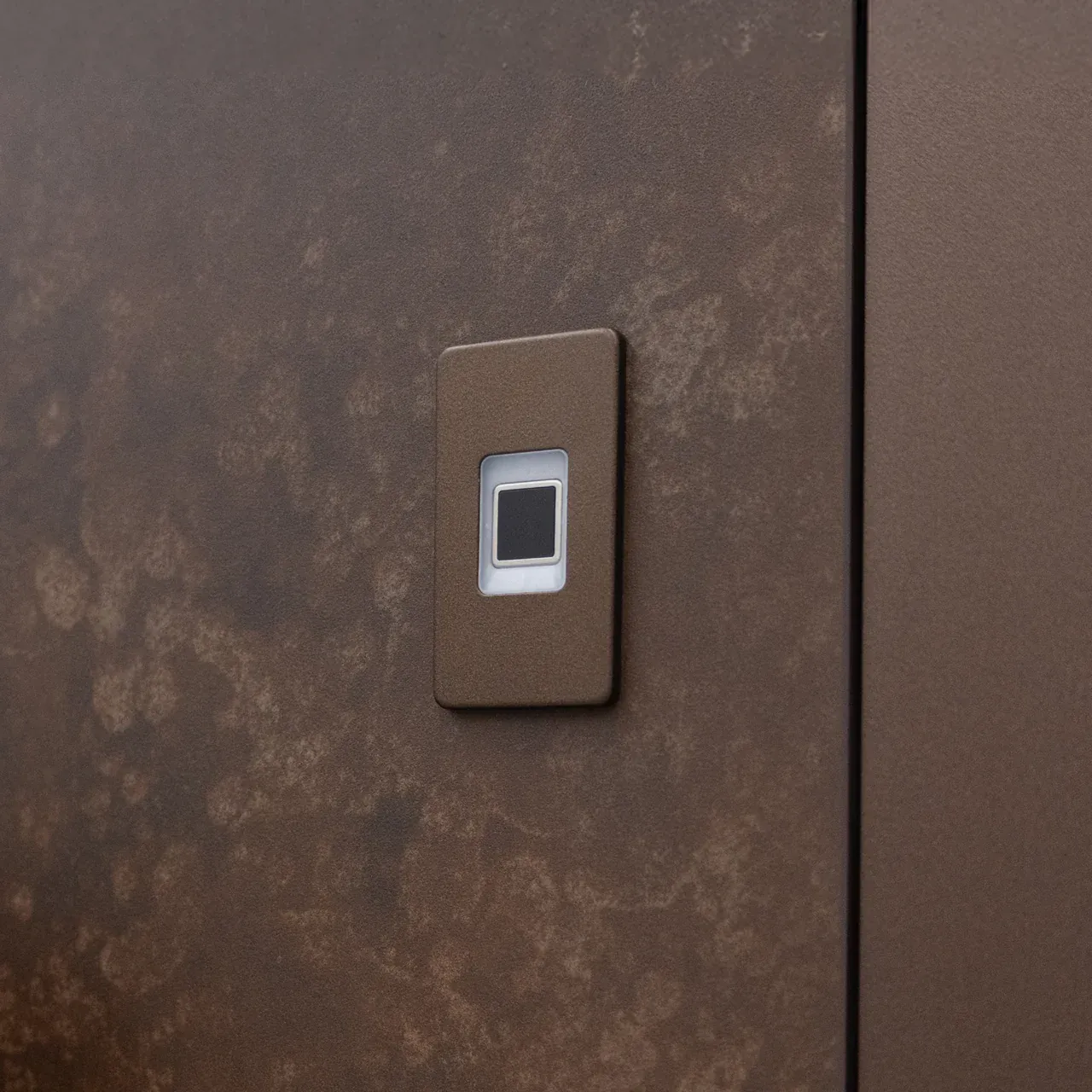 Recessed fingerprint scanner module on a bronze door