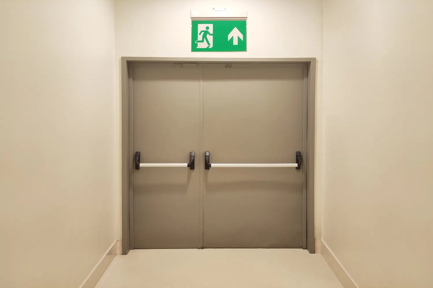 Automatic & access door